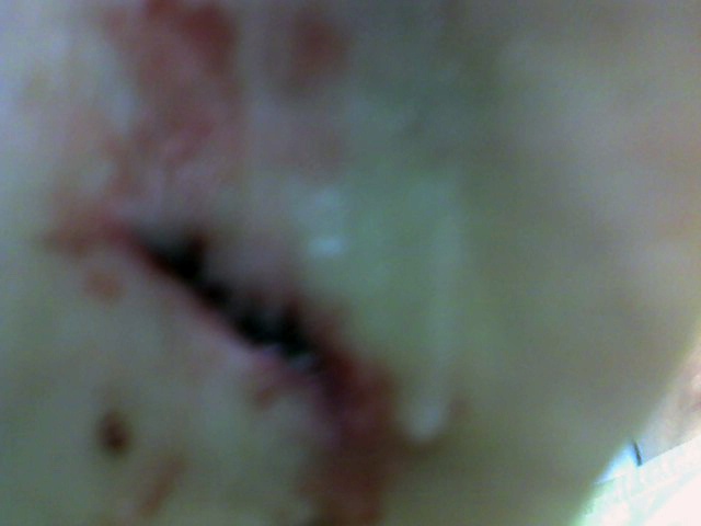 07-12-06_0111 (2).jpg