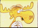 1.gif