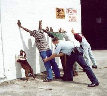 268.jpg