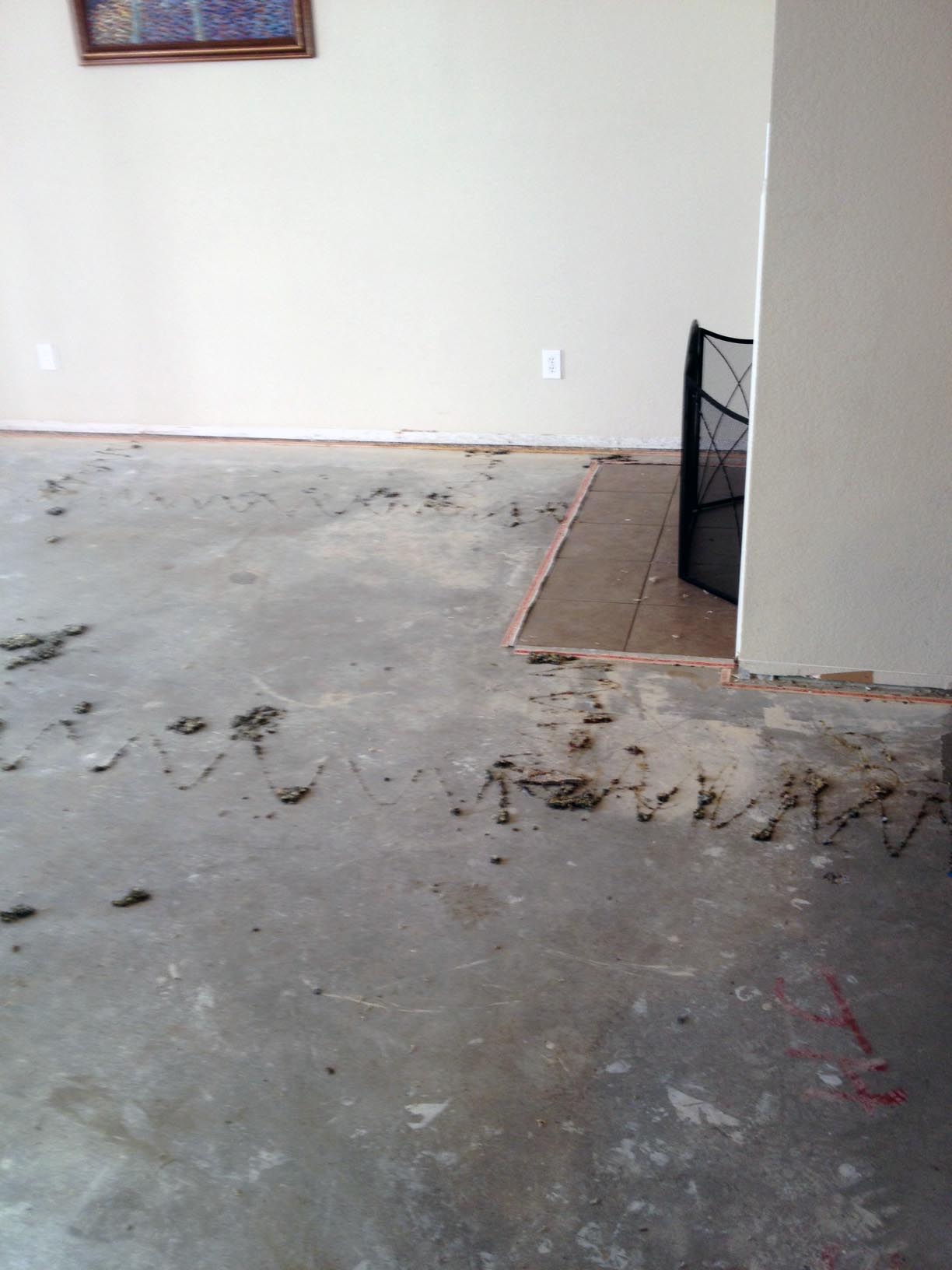 3no carpet or baseboard.jpg