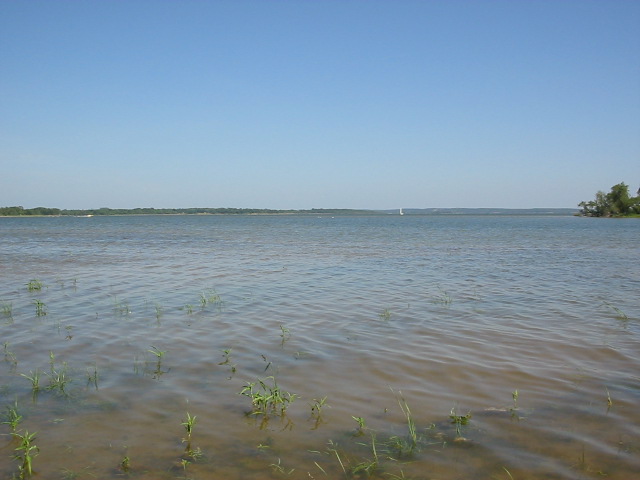78.JPG