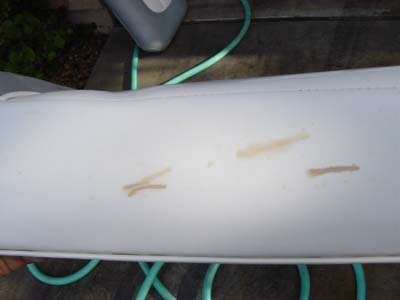 Boat Seat 002.jpg