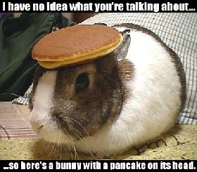 BunnyPancakeSmlr.jpg