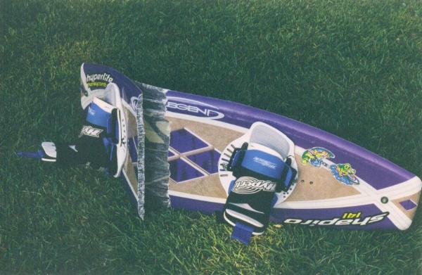 d Busted Shapiro HC.jpg