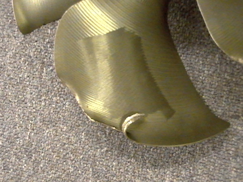 Dallas Robinson 005.jpg