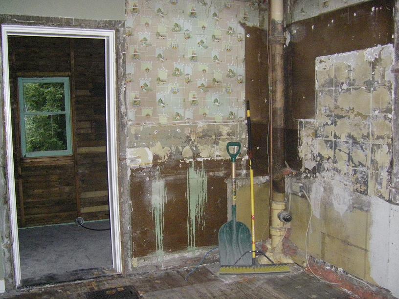 Day 2 kitchen and mudroom demo.JPG
