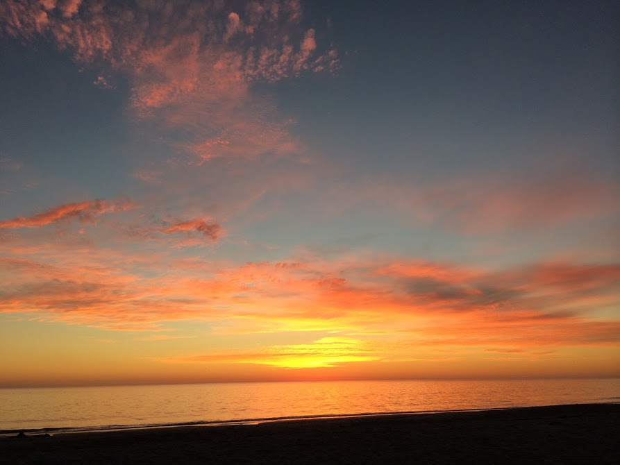 FL pics - 21 (893x670).jpg