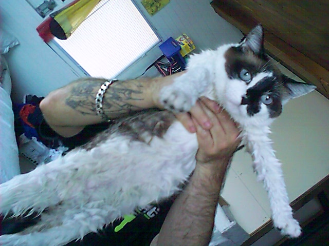 Gizmo.JPG