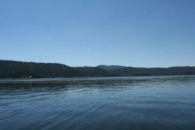 IMG_2886 (624 x 416).jpg