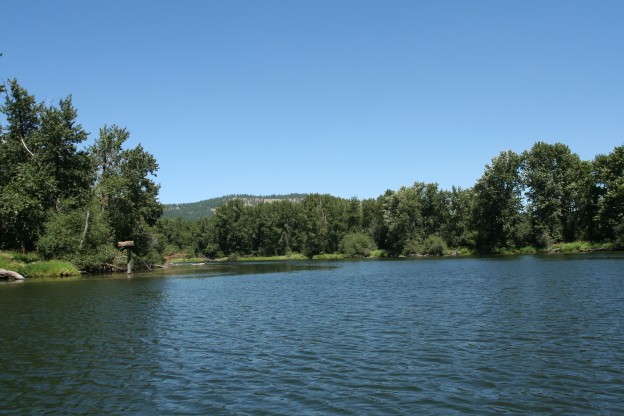 IMG_2916 (624 x 416).jpg