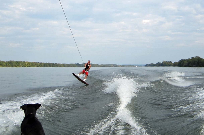 IMG_9903-46 (800x533).jpg