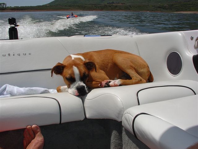 Jackson Boat 011.jpg