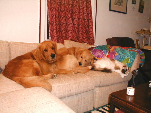 jaxbonzi with molly.jpg