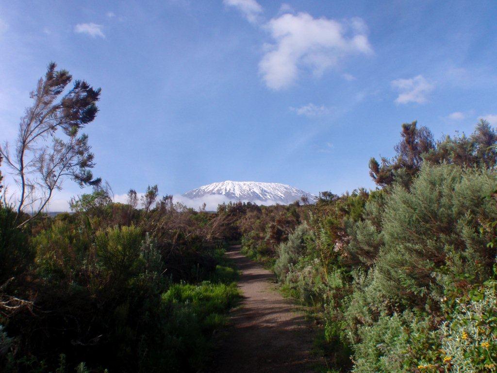 Kili13 -  from First Cave Camp.jpg