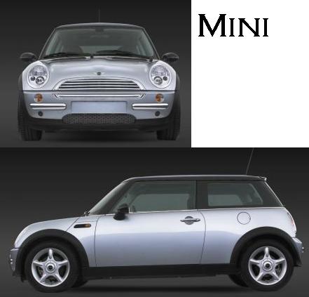 mini.JPG