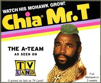 mr t.jpg