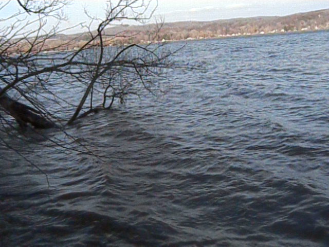 Open water 1.jpg