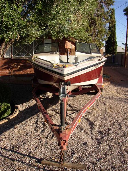 P1012111 (Medium).JPG