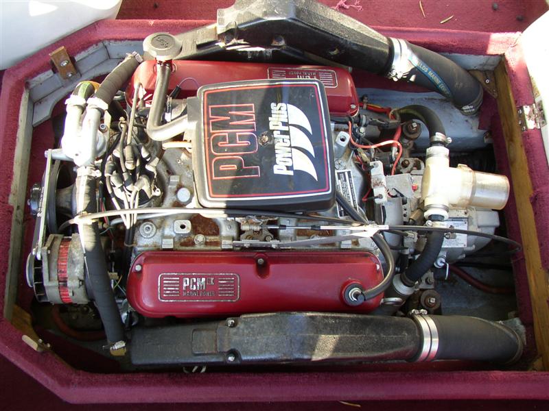 P1012116 (Medium).JPG