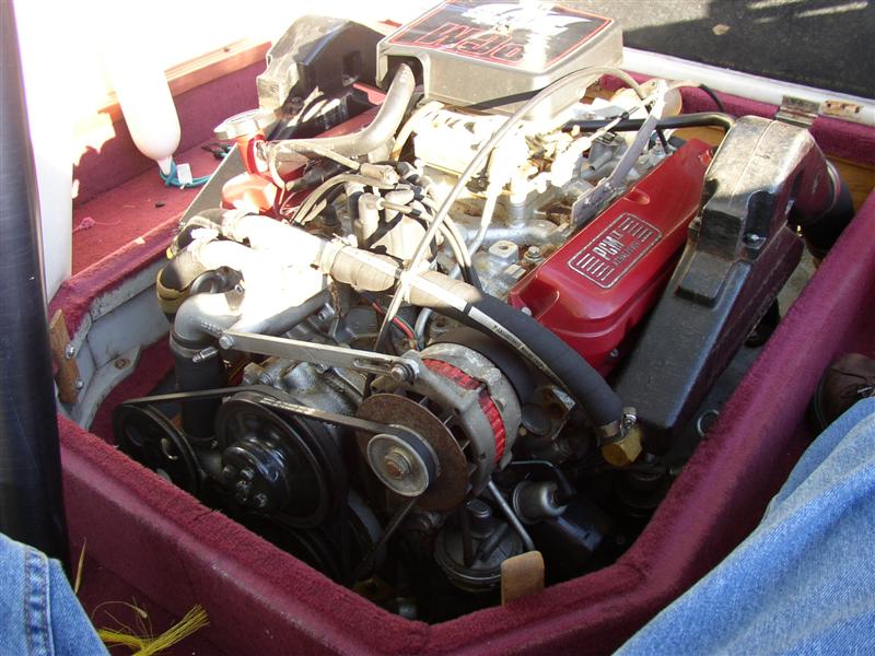 P1012119 (Medium).JPG