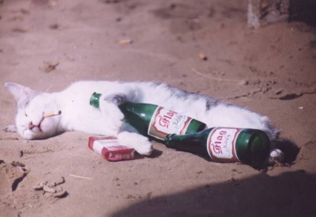 passedout.jpg