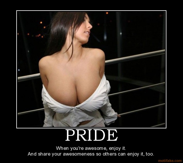 pride-demotivational-poster-1228164908.jpg