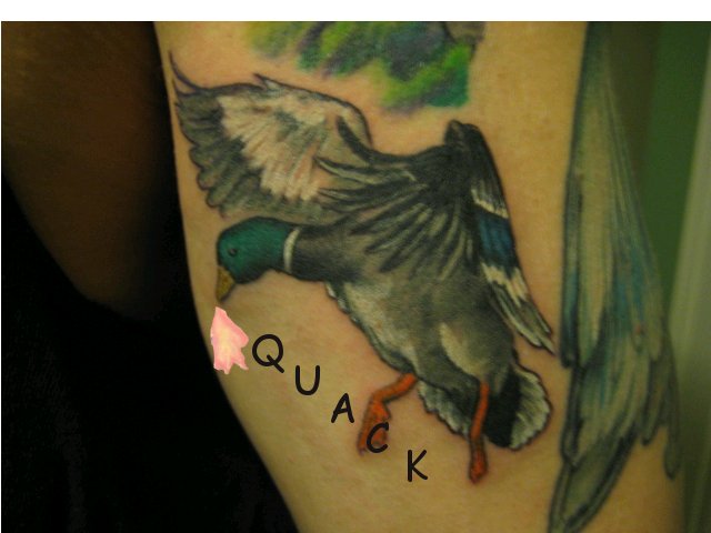 quackquackquack.jpg