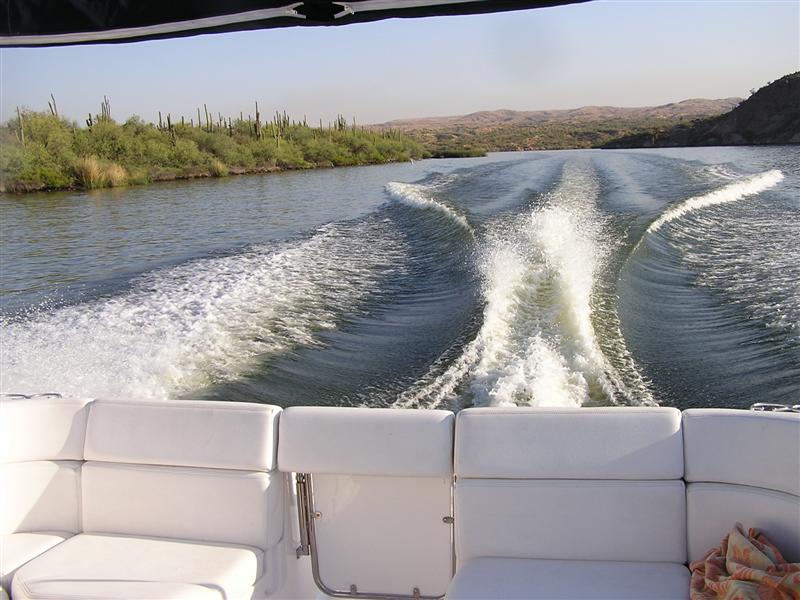 saguaro campout 034 (Medium).jpg