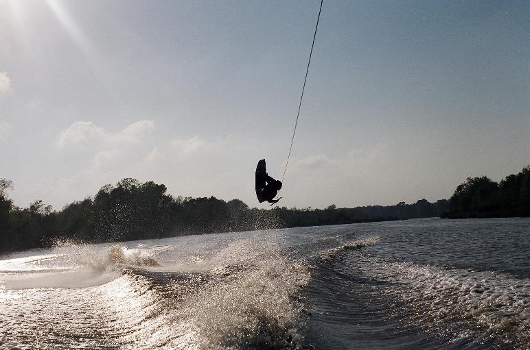 sick batwing small.JPG