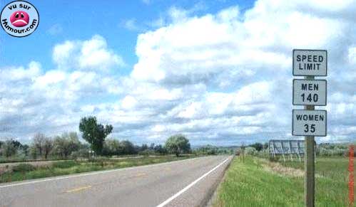 speedlimit.jpg