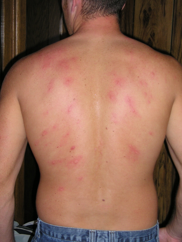 wake stuff and dodge ball 001.jpg